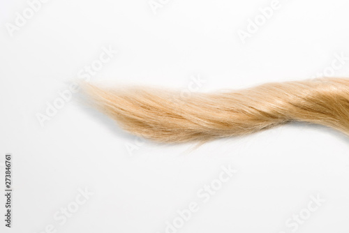 Blond natural hair extensions isolated on white background. Clip photo