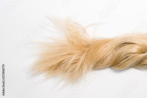 Blond natural hair extensions isolated on white background. Clip photo