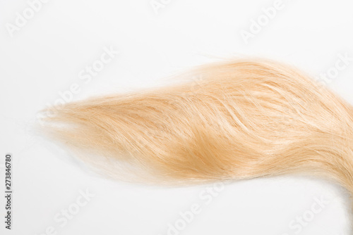 Blond natural hair extensions isolated on white background. Clip photo
