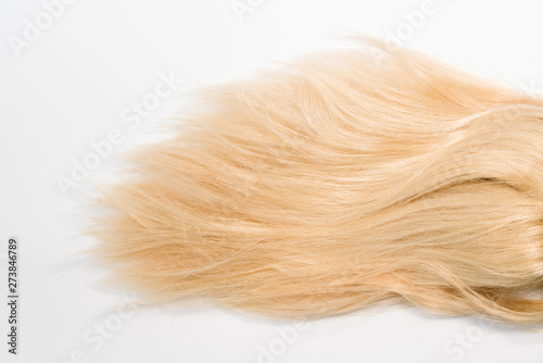 Blond natural hair extensions isolated on white background. Clip photo