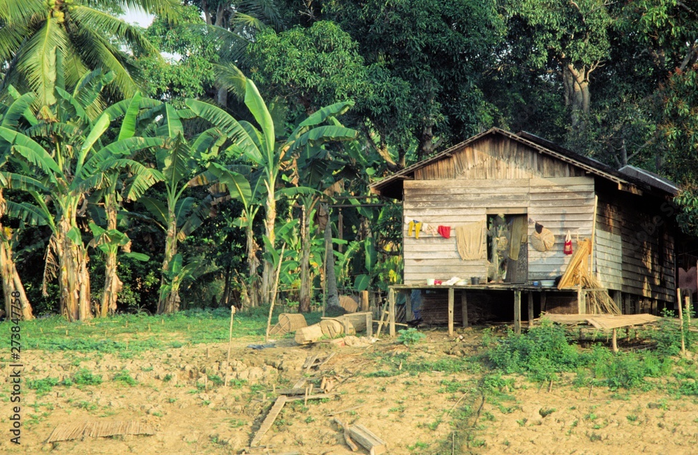 hütte auf kalimantan
