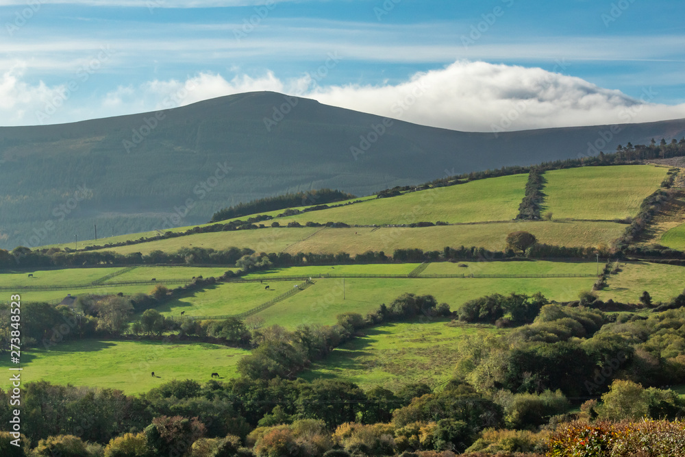 A Pattern of Green Fields in County Wicklow, Ireland A Pattern of Green Fields in County Wicklow, Ireland