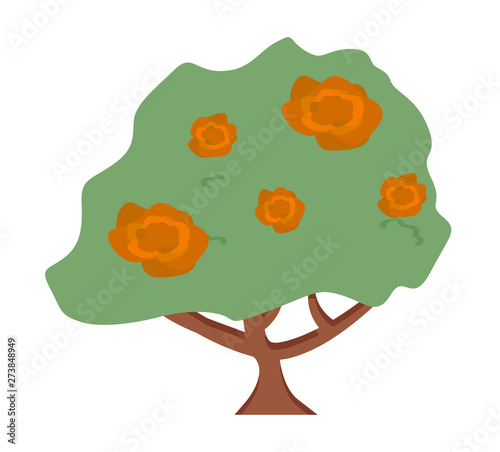 Flowers vector, bush with flowering isolated flora flat style natural blooming, roses or tree with trunk, garden orchard scene, rural area countryside