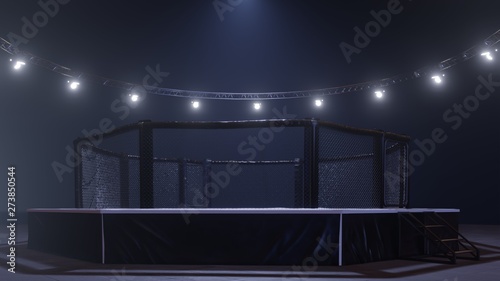 Fotografie Mma arena side view. Empty fight cage under lights. 3D rendering