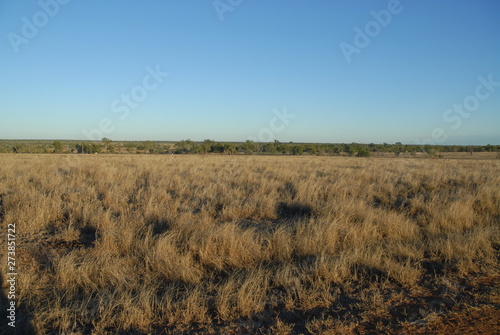Outback Australia, dried grass and distant trees, near Charters Towers, Queensland, Australia