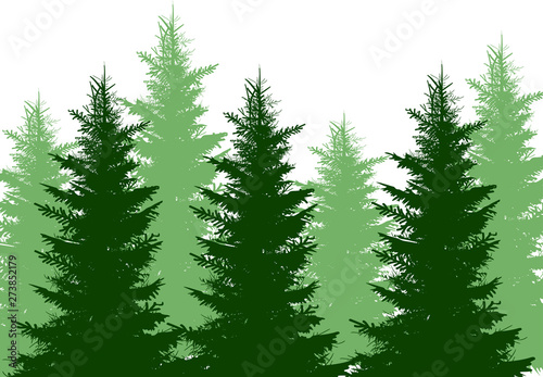 light and dark green group of fir trees on white