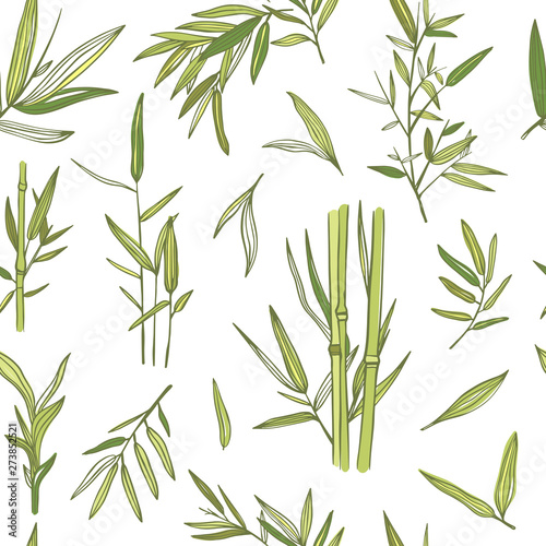 Bamboo trees vector seamless pattern. Background with bamboo plants and leaves. Green florals concept