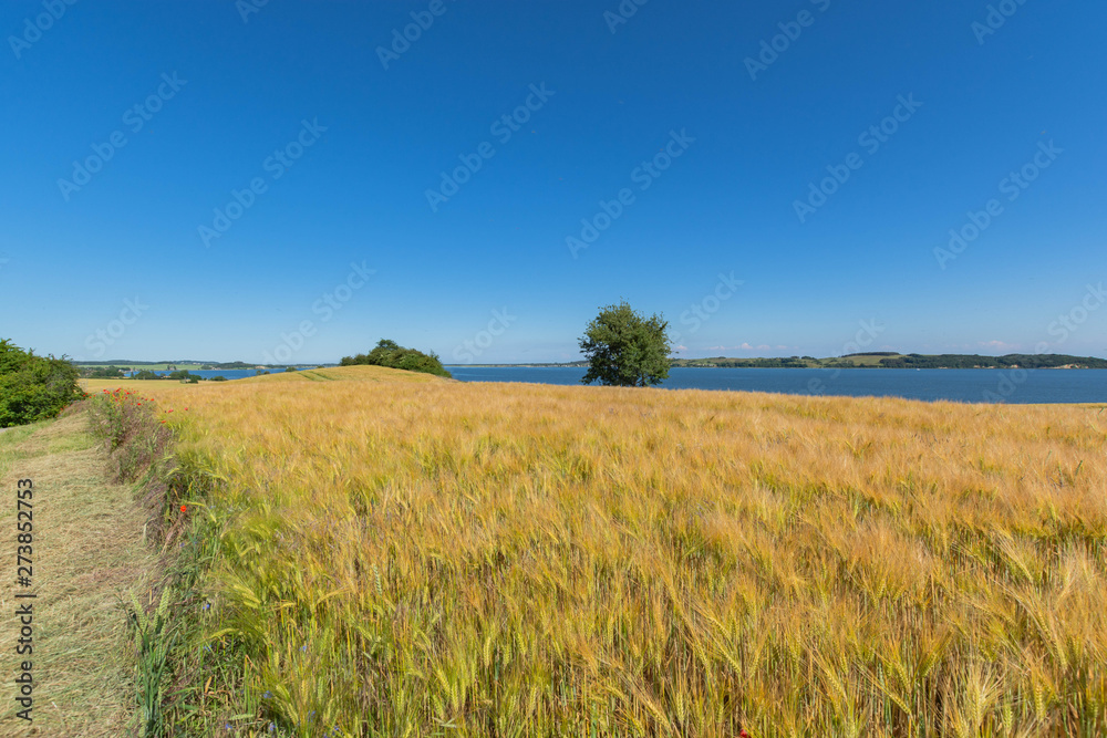 Reedevitzer Höft, Halbsinel Mönchgut, Insel Rügen