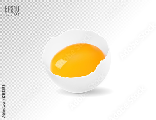 Vector eggs smashed against a transparent background. Realistic, 3d