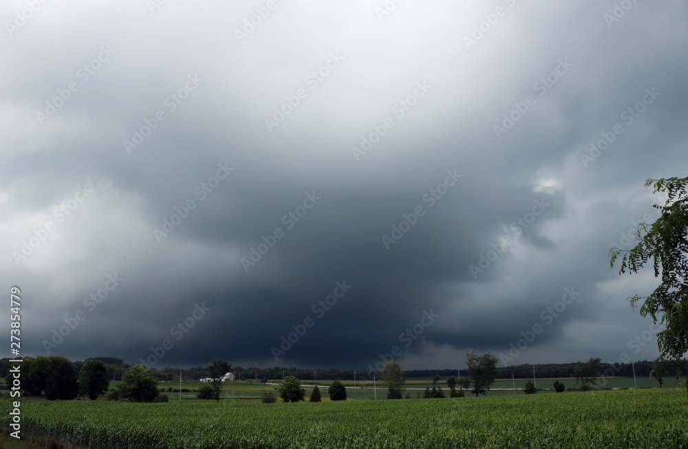 Dark storm clouds approaching over treeline with corn field in the foreground