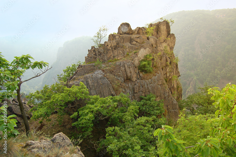 Naklejka premium View into Bodetal valley at Harz mountains in Germany
