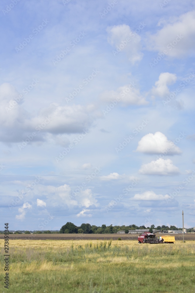 Fototapeta premium landscape with field and blue sky