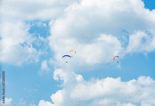 kite flying in the sky