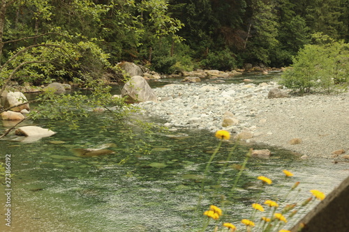 Lower falls trail, Golden Ears Provincial Park BC Canada  photo