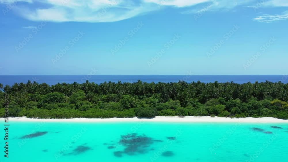 Aerial drone trucking shot of small sandy island with Arecaceae forest - ecology concept Aerial drone trucking shot of small sandy island with Arecaceae forest - ecology concept