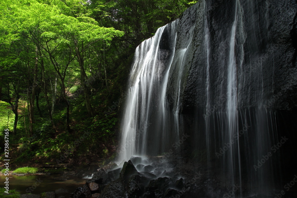 清涼感のある滝と緑の山林