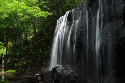 清涼感のある滝と緑の山林