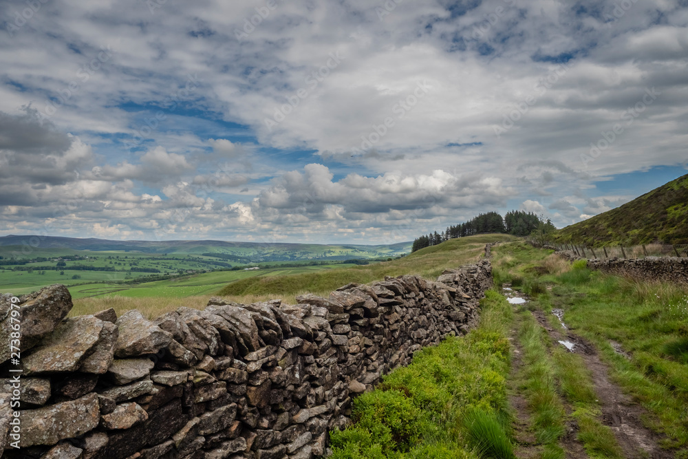 16/06/2019 Walking along the Dales High Way between Addingham and Skipton in the Yorkshire Dales