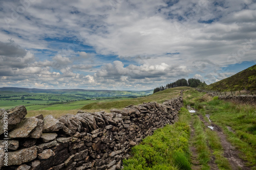 16 06 2019 Walking along the Dales High Way between Addingham and Skipton in the Yorkshire Dales
