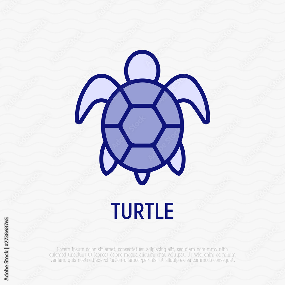 Fototapeta premium Cartoon turtle thin line icon. Modern vector illustration for logo with reptile.