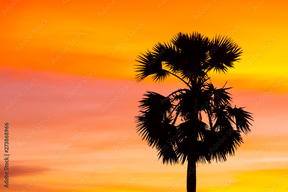 Magic tropical sunset with palm trees and sea view. Fantastic sky and clouds