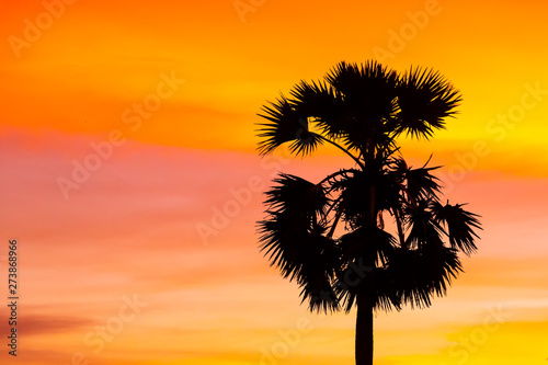 Magic tropical sunset with palm trees and sea view. Fantastic sky and clouds © Sergey