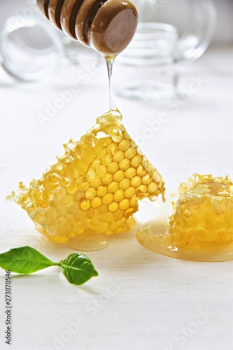 Honey comd slice isolated on the white background photo