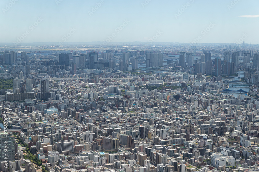 Tokyo's Panorama