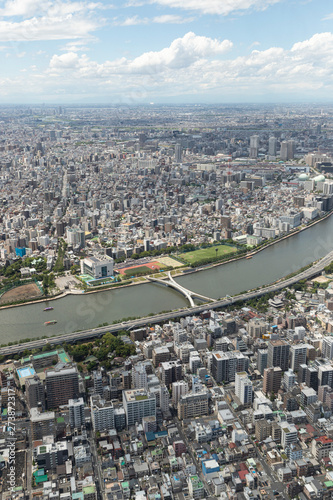 Fototapeta Naklejka Na Ścianę i Meble -  Tokyo's view