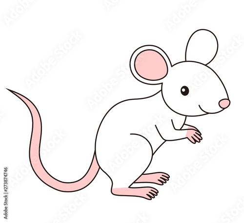                        mouse