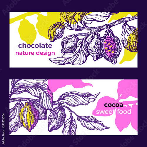 Cocoa. Tropical flyer. Vector jungle. Natural chocolate