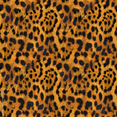 Seamless Fur Pattern Texture Jaguar