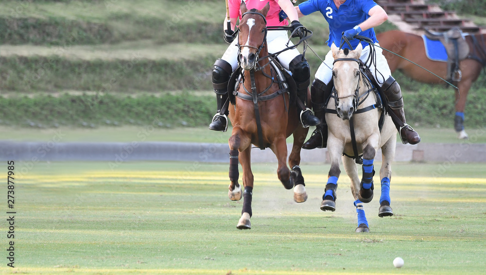 Horse polo players are competing in the polo field. Horse polo players are competing in the polo field.