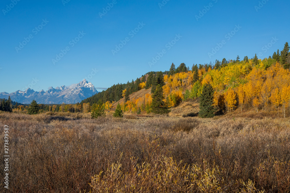Scenic Autumn Landscape in the Tetons Scenic Autumn Landscape in the Tetons