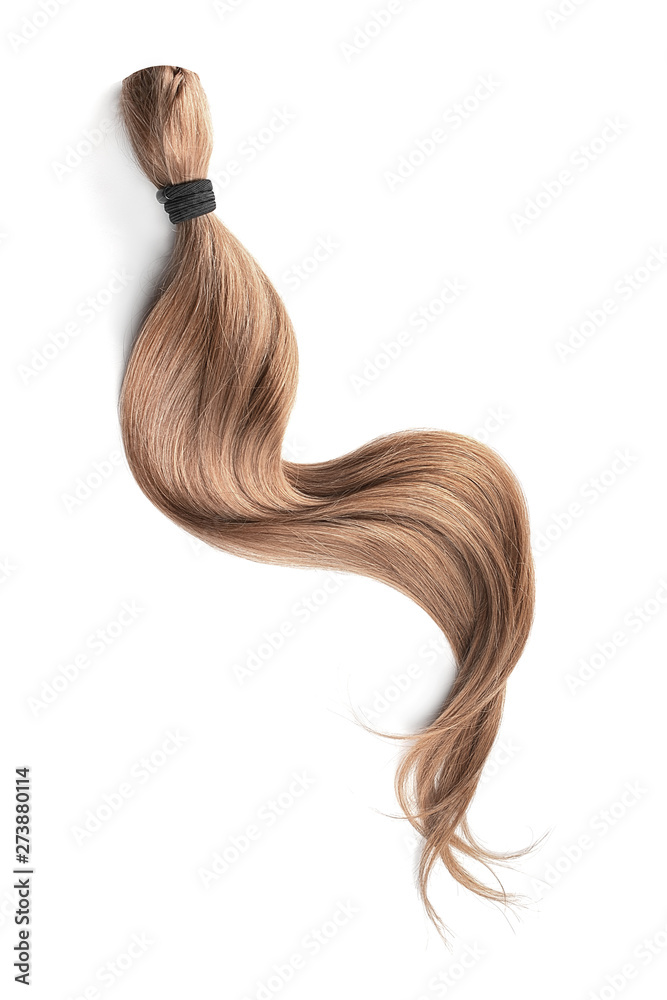 Brown hair isolated on white background. Long wavy ponytail Brown hair isolated on white background. Long wavy ponytail