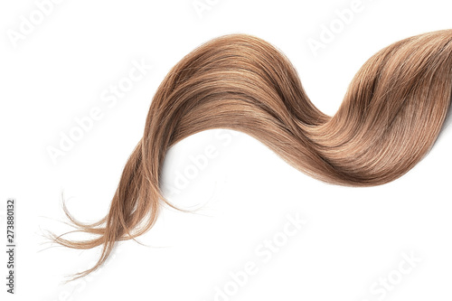 Quadro su tela Brown hair isolated on white background. Long wavy ponytail