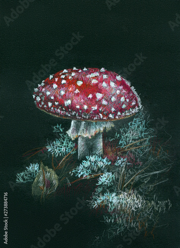 Colored pencils toadstool on black paper