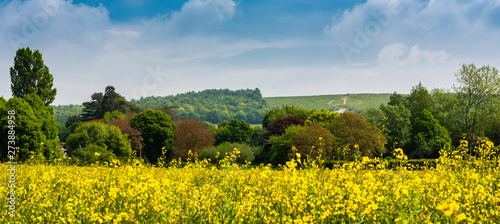 Tableau sur toile Crown carved into the North Downs near Wye, Ashford in Kent, England