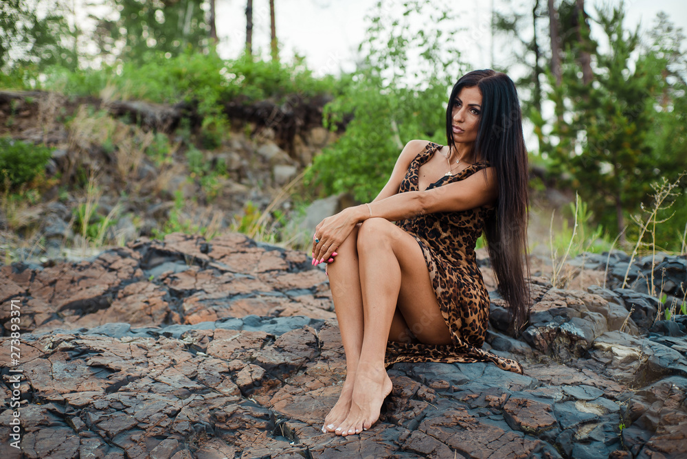 Beautiful sexy woman posing in Leopard print dress on rocks Beautiful sexy woman posing in Leopard print dress on rocks