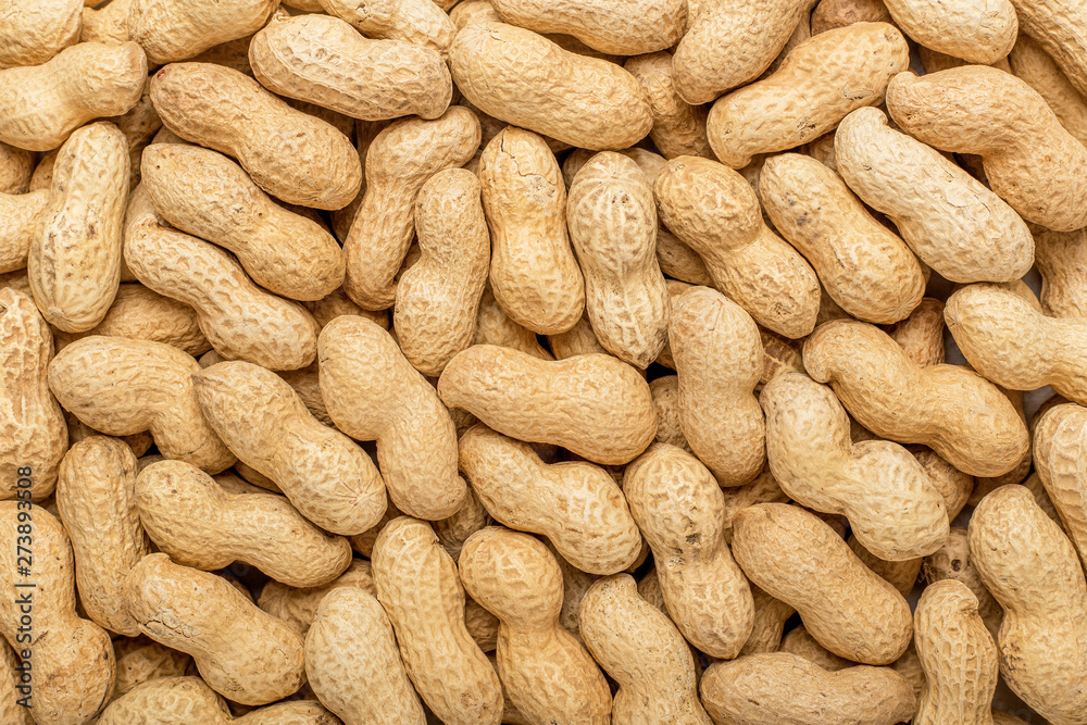 Peanuts in the shell. Texture for designers. Food. Background of peanuts. Peanuts in the shell. Texture for designers. Food. Background of peanuts.