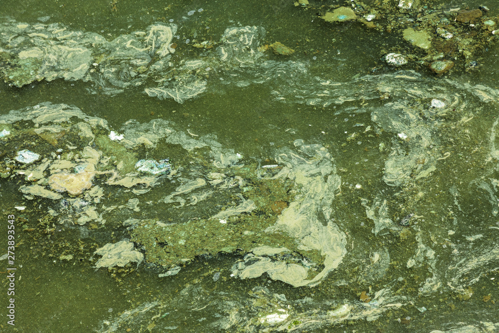 Dirty wave with old dirty algae. Dirty seaweed sea surf lines in seaport. Dirty sea, environmental problem of environmental pollution. Algae in sea wave. Toxic decaying algae. Ecological catastrophy Dirty wave with old dirty algae. Dirty seaweed sea surf lines in seaport. Dirty sea, environmental problem of environmental pollution. Algae in sea wave. Toxic decaying algae. Ecological catastrophy