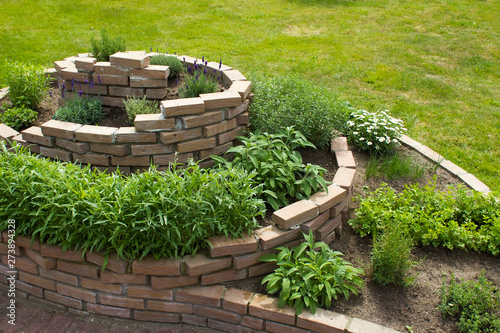 herb spiral in the garden photo