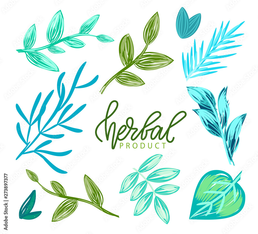 Φωτογραφία Herbal product vector, green and blue hues of foliage and flora of plants, healt