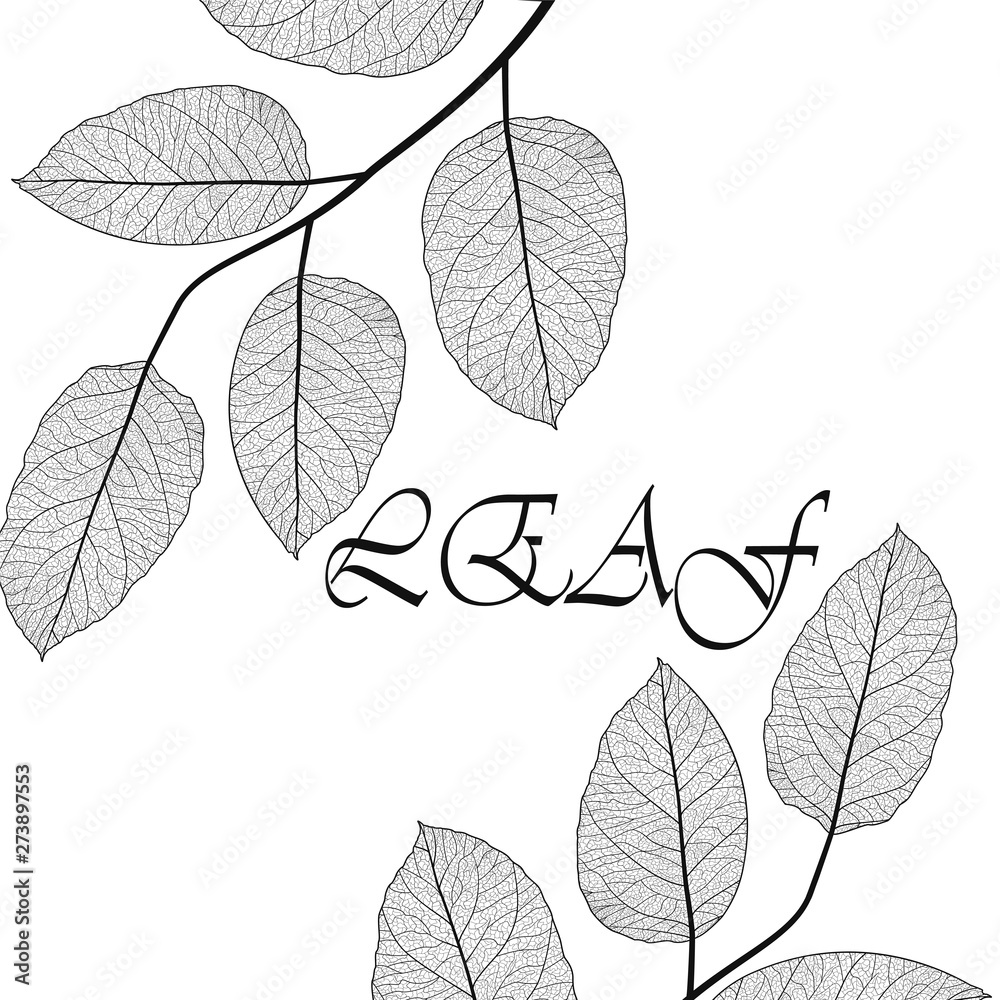Beautiful background with autumn leaves . Vector illustration. EPS 10