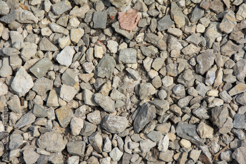 old road of small stones in the park old road of small stones in the park