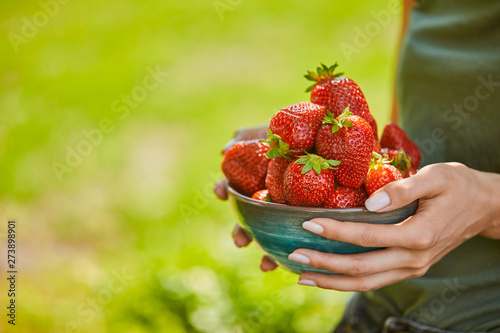 cropped view of woman holding bowl full of red strawberries