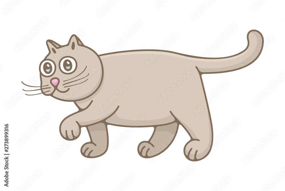 Cat. isolated on white background Cat. isolated on white background