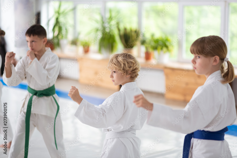 Fototapeta premium Boys and girl wearing white kimono practicing aikido