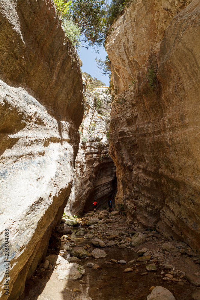 Avakas Gorge canon in Cyprus with little river, Sunlit rocks and tight path between them.