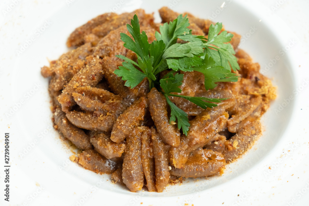 close up of traditional orecchiette pork pasta in a white plate isolated close up of traditional orecchiette pork pasta in a white plate isolated